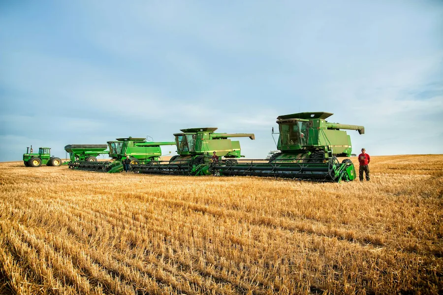 Una imagen de un campo con máquinas cosechadoras